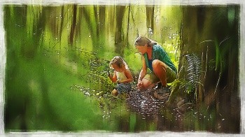 Tierspuren im Wald erkennen: Ein spannendes Abenteuer für Kinder und Familie